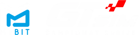 GT SIM