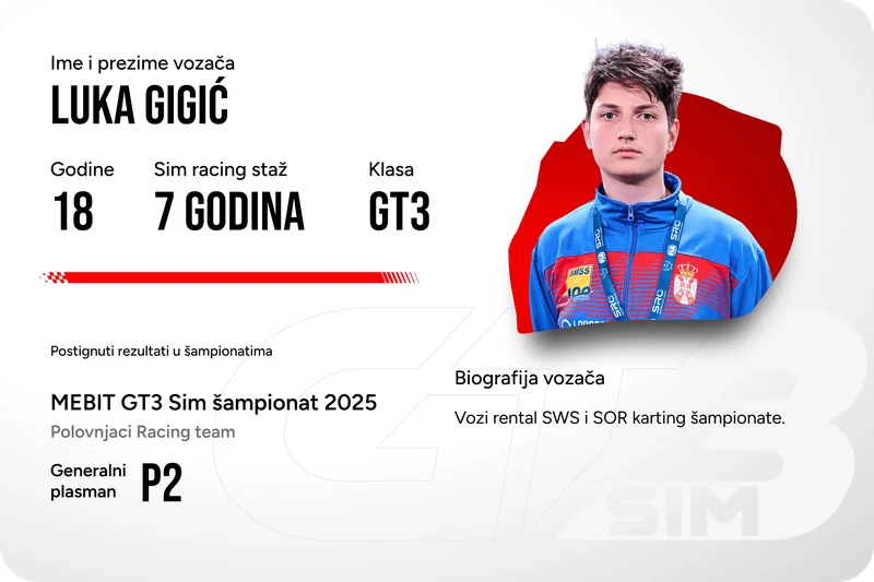GT3 vozač 2
