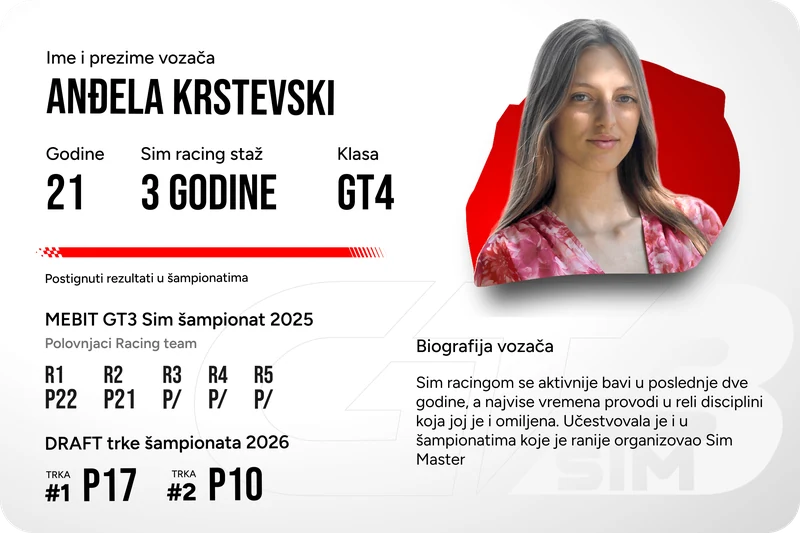 GT4 vozač 11